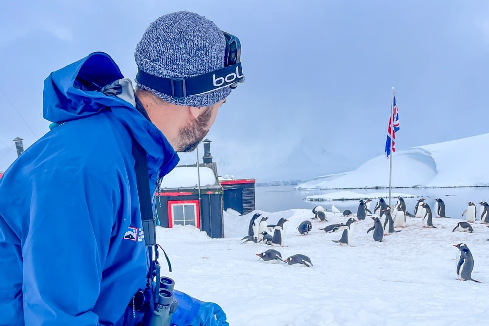 A UKAHT staff member counts gentoo penguins