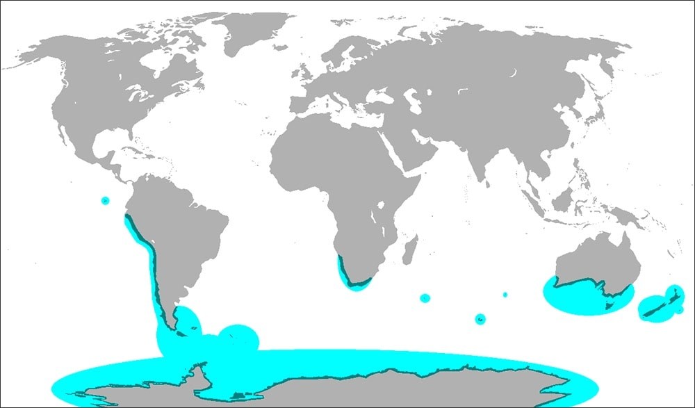 A world map showing the distribution of all penguin species