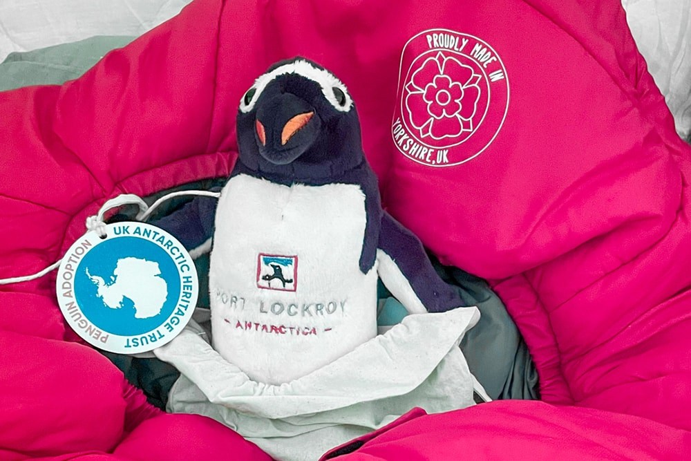 a stuffed penguin toy in a sleeping bag