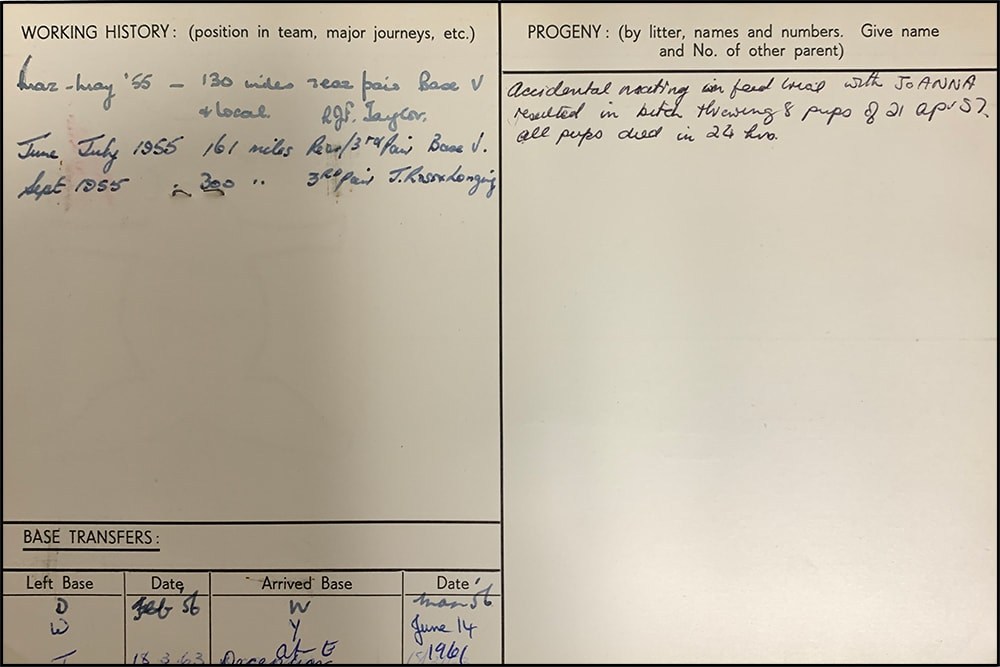 the reverse of the dog card showing working hstory