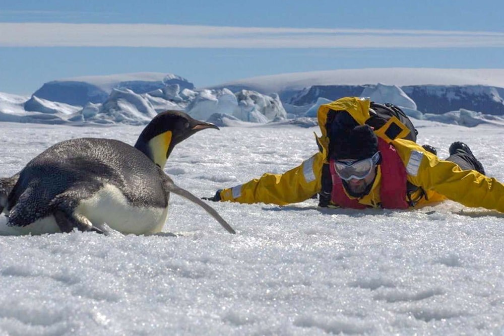 Peter lying on the ice with a penguin in the foreground
